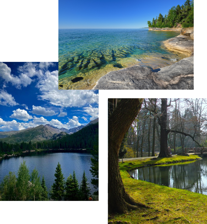 Untitled design 55 1